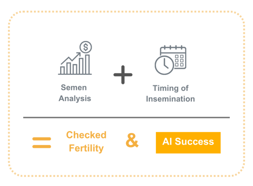 AI Success-1