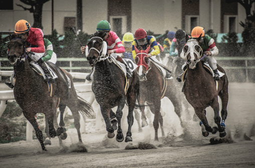 Horse Racing