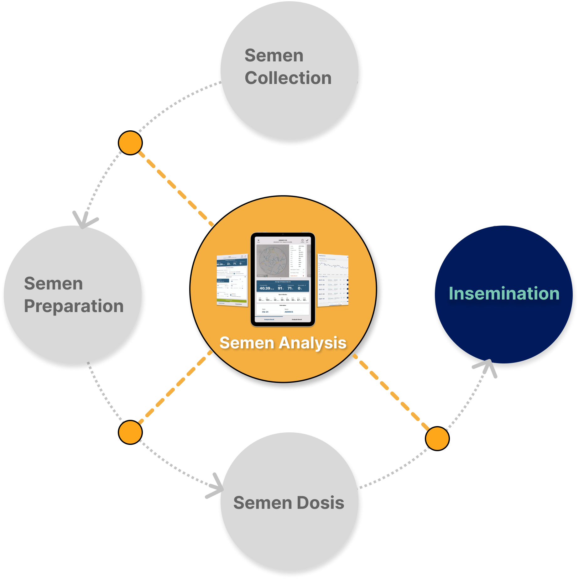 Semen analysis process_Canine Semen analysis process_Canine