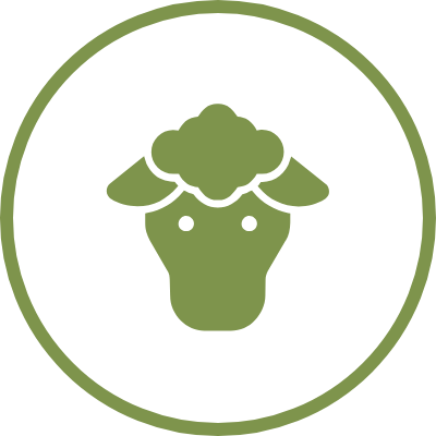 isperm-ovine-icon-1